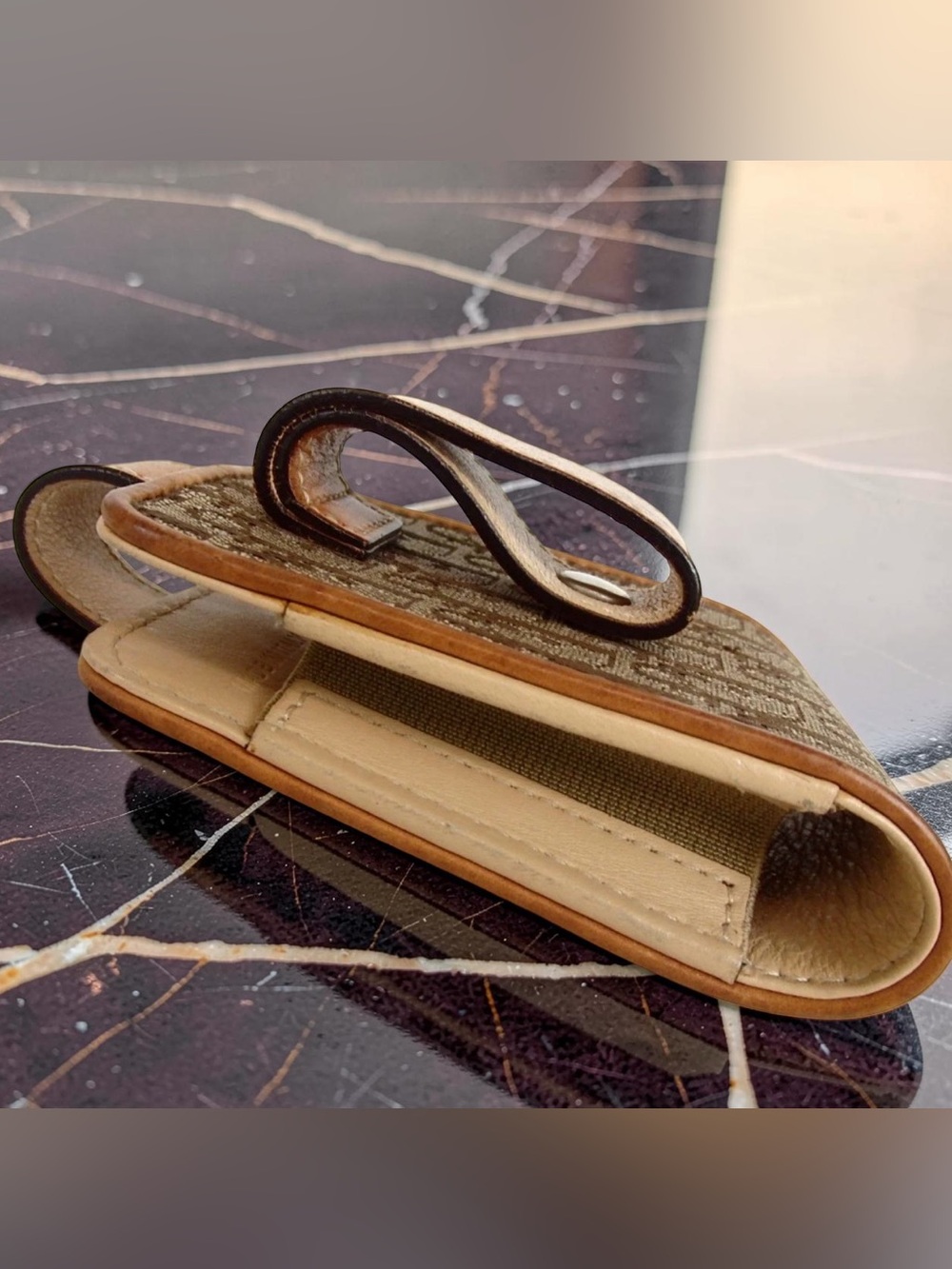 DIOR Trotter Mini Case ππ₯ - Picture 4 of 11